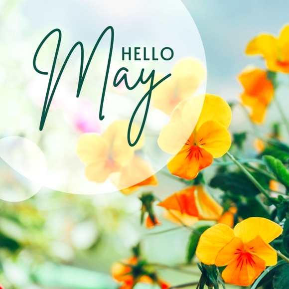 Minimum $15 - Picture 3 of 16